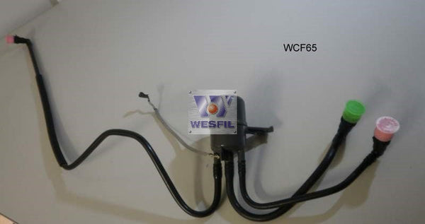 Image_1