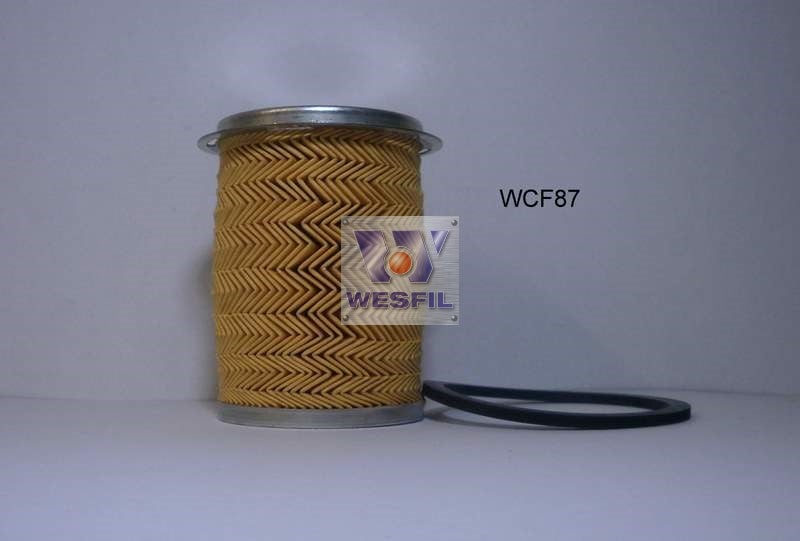 Image_1