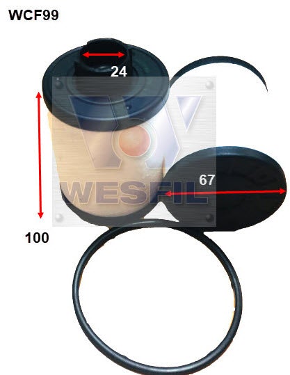 Image_1