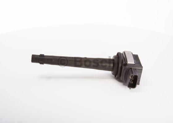 Image_1