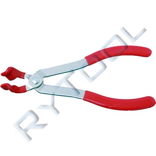 Image_1